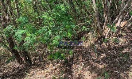 Terreno à venda, 1026 m² - Condomínio Vista Alegre - Café - Vinhedo/SP