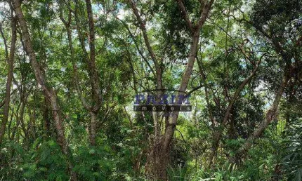 Terreno à venda, 943 m² - Condomínio Vista Alegre - Café - Vinhedo/SP