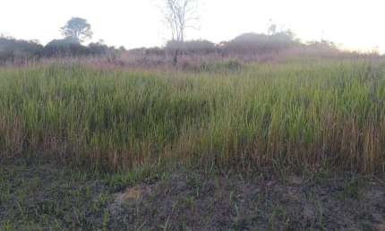 Terreno à venda no Vilatur, Saquarema 
