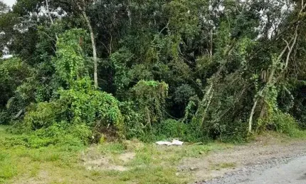 Terreno à venda na Praia de Leste, Pontal do Paraná 