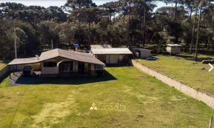 Chácara / sítio com 4 quartos à venda na Zona Rural, Araucária 