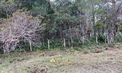 Terreno à venda no Jardim Paraná, Paranaguá 