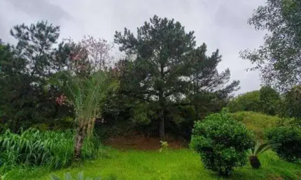 Terreno próximo a uni avan e br 101 a venda para | Estados, Balneário Camboriú, Santa Catarina