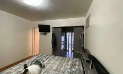 Casa com 3 quartos à venda na Mario Manoel Da Silva, Centro, Porto Belo