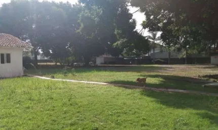 Terreno no bairro centro para | Centro, Camboriú, Santa Catarina