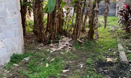 Excelente lote de terreno alto bem aterrado murado bem localizado no santo antonio guarujá 300m² 10x30 próximo ao centro do guarujá e praia das pitangueiras oportunidade 2024 para construtor ou partic