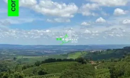 Terreno à venda no Jardim Palestina, Franca 