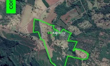 Fazenda à venda no Centro, Pedregulho 