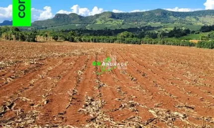 Terreno à venda no Centro, Claraval 