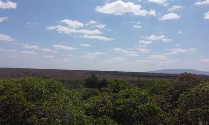Vende-se excelente propriedade 230 hectares há20 km de Inajá-PE.