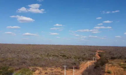 propriedade com 412 hectares localizada na BR 316, a 20 km de Petrolândia