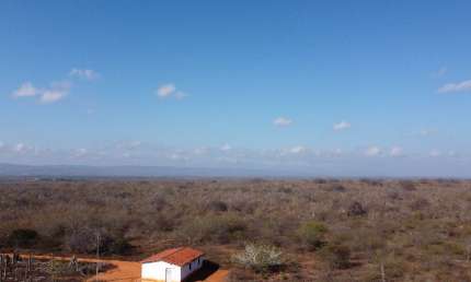 Fazenda à venda na Rua Manoel Correia Gaia, 9, Zona Rural, Inajá