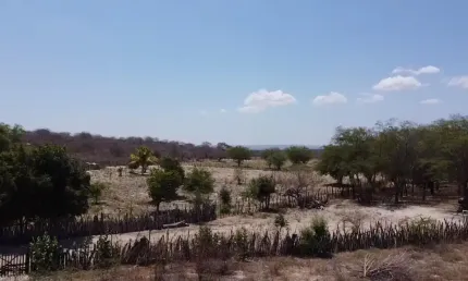 Chácara / sítio à venda na Rua Regente Feijó, sitio, Zona Rural, Petrolândia
