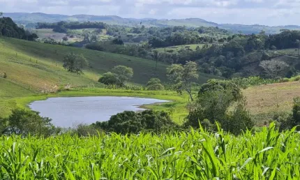 Chácara / sítio à venda na Rua Doutor Manoel Borba, 9, Zona Rural, Quipapá