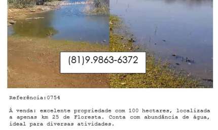 À venda: excelente propriedade com 100 hectares, localizada a apenas km 25 de Floresta.