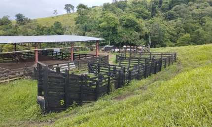 Fazenda à venda no Rio Pardo, Caldas 