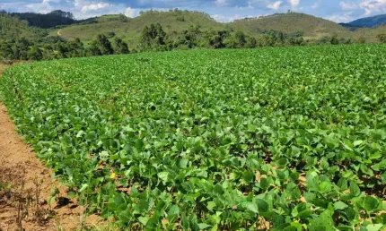 Fazenda à venda no Bom Retiro, Caldas 