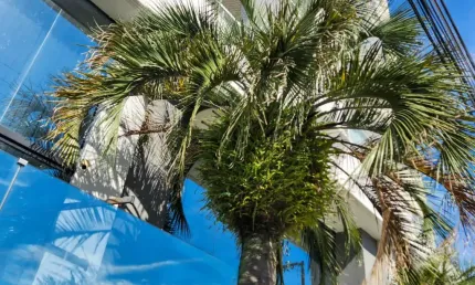 Apartamento à venda no charmoso e bem localizado bairro São Judas, em Itajaí!