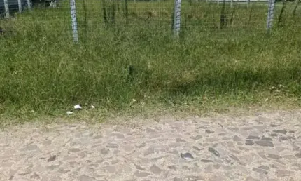Terreno à venda no bairro curumim com 450 m² de área privativa