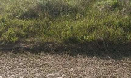 Terreno à venda no Bairro Curumim com 360 m² de área privativa
