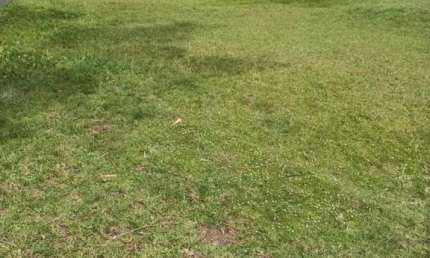 Terreno à venda no Bairro Curumim com 420 m² de área privativa
