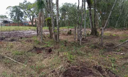 Terreno à venda na rua l, praia grande, matinhos por r$ 230.000
