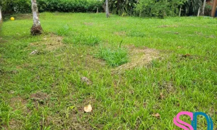 Excelente terreno, plano e aterrado, no melhor condomínio de Ubatuba - SP.