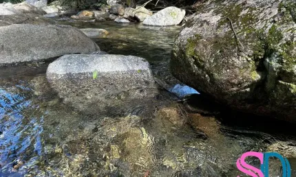 Lindo Sítio, com 7.000 m², no Pé da Serra, em Ubatuba - SP