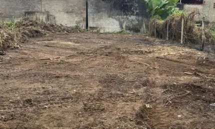 Terreno plano, para venda, no Mato Dentro, Ubatuba SP