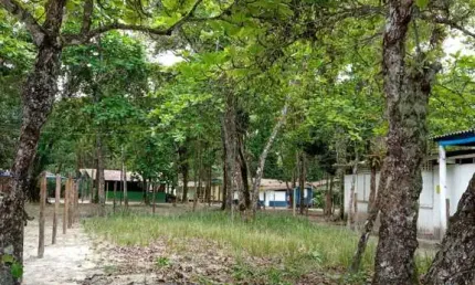 Terreno pé na areia, com 400 m², para venda, no ubatumirim, ubatuba - sp