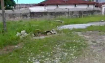 Terreno à venda em caraguatatuba, avenida martim de sá