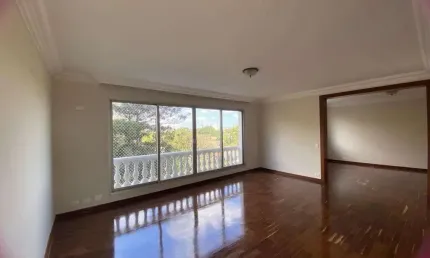 Mayflower apartamento com 240m2 4 dormitórios com vista pra Vicentina Aranha