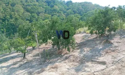 Terreno à venda na Estrada Doutor Fidélis Alves, Centro (Pachecos), Itaboraí