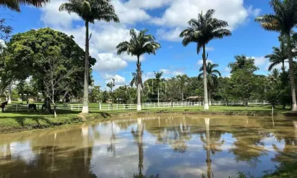 Chácara / sítio com 4 quartos à venda na Estrada Trinta e Três, Agro Brasil (Sambaetiba), Itaboraí