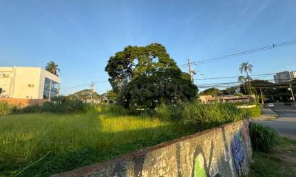 Terreno comercial para alugar na Rua Doutor José Ferreira de Camargo, S/N, Nova Campinas, Campinas por R$ 15.000