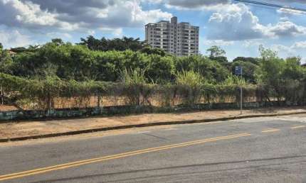 Terreno à venda na Rua Doutor João Alves dos Santos, 1041, Jardim das Paineiras, Campinas por R$ 225.000