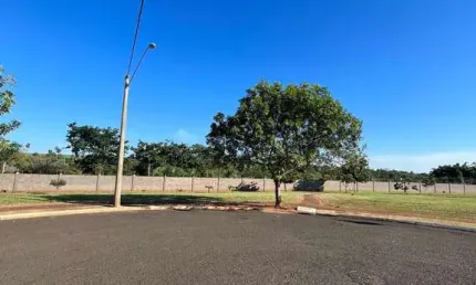 Jardim Botanico I - Lote de Terreno no Jardim Botanico