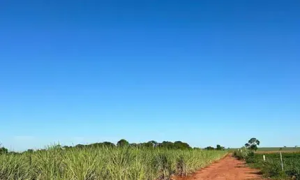 Fazenda à venda na Área Rural de Barretos, Barretos 