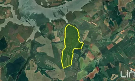 Fazenda à venda na área rural de barretos, barretos , 11181900 m2