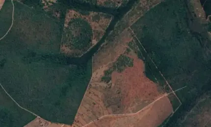 Fazenda à venda na Zona Rural, Capinópolis 