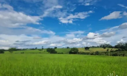 Fazenda à venda na Zona Rural, Icém 
