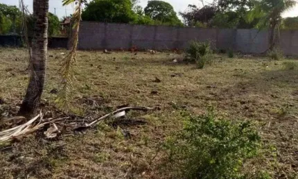 Terrenos para venda em Matapuã, Mosqueiro, Aracaju-SE