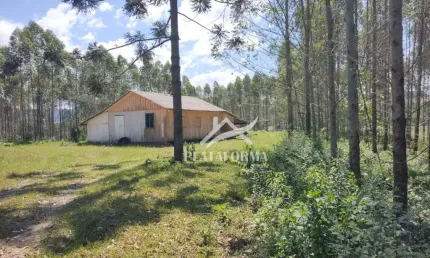 Chácara / sítio com 2 quartos à venda no Centro, Santa Terezinha , 150 m2 por R$ 1.100.000