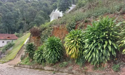 Terreno à venda na Rua Professora Carmem Gomes, Panorama, Teresópolis