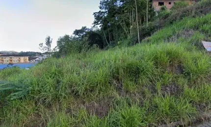 Terreno no floresta com 0 quartos para venda, 712 m²