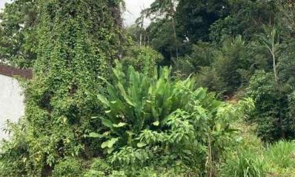 TERRENO no COSTA E SILVA com 0 quartos para VENDA, 490 m²