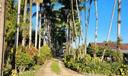 TERRENO no AREIAS PEQUENAS com 0 quartos para VENDA, 58357 m²
