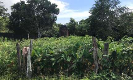 TERRENO no BARRA DO ITAPOCU com 0 quartos para VENDA, 288 m²