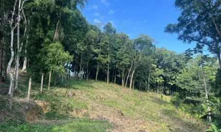 TERRENO no AMÉRICA com 0 quartos para VENDA, 1666 m²