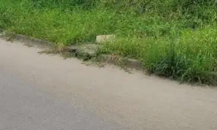 Terreno à venda na Rua Passo Fundo, 31, Fátima, Joinville